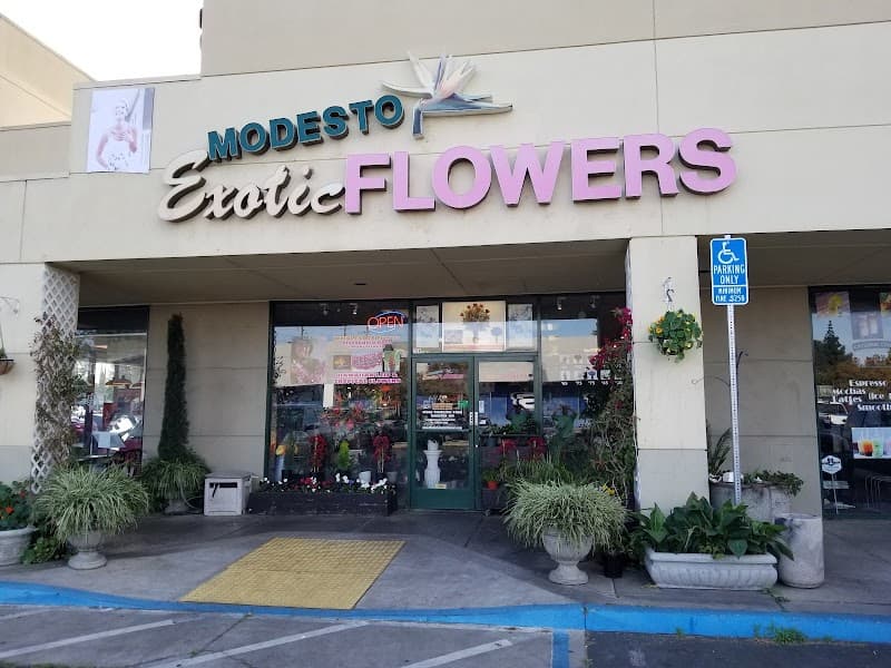 Modesto Exotic Flowers cover