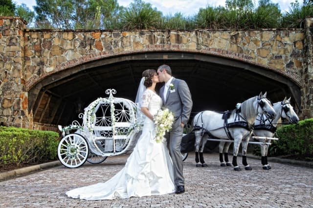 Orlando Horse and Carriage cover