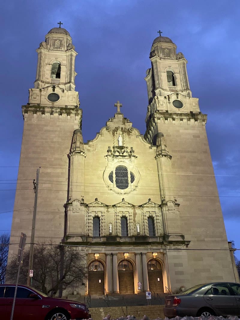 Saint Cecilia Cathedral cover