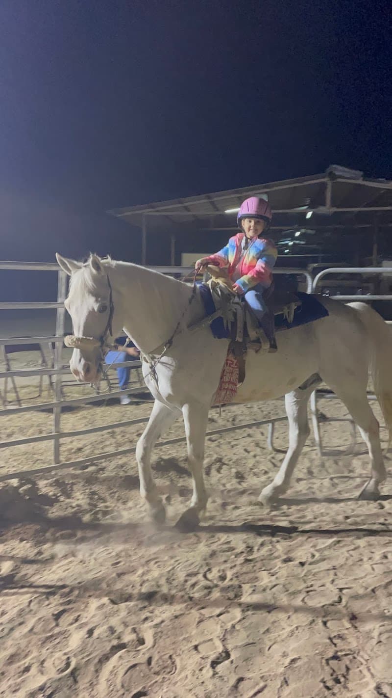 Lienzo Charro El Mayoral cover