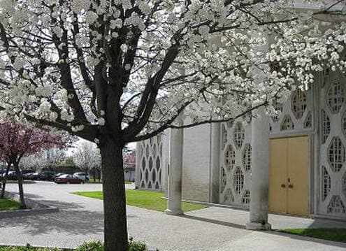 Saint Luke Catholic Church cover