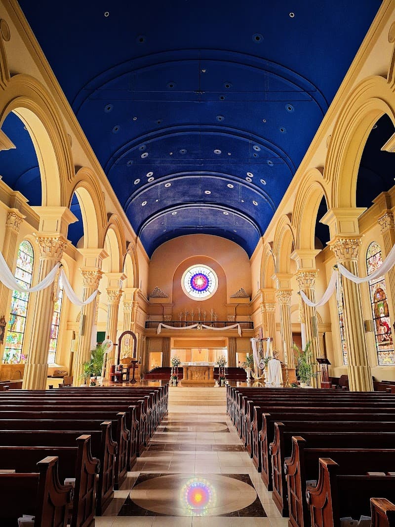 The Cathedral of the Immaculate Conception cover