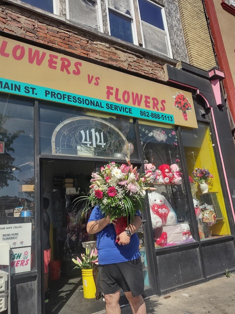 Flowers Vs Flowers cover