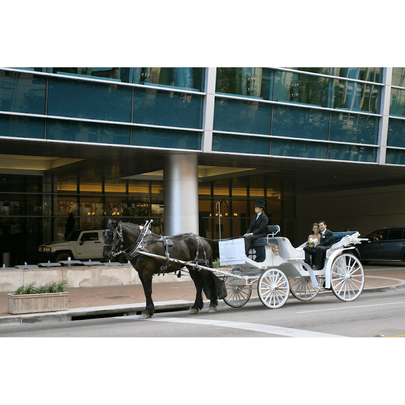 Classic Carriages cover