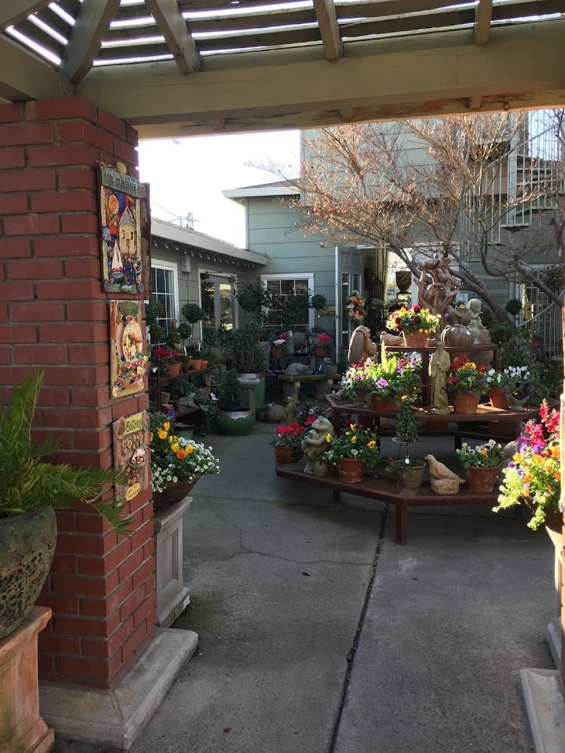 Silveria's Flowers & Gifts cover