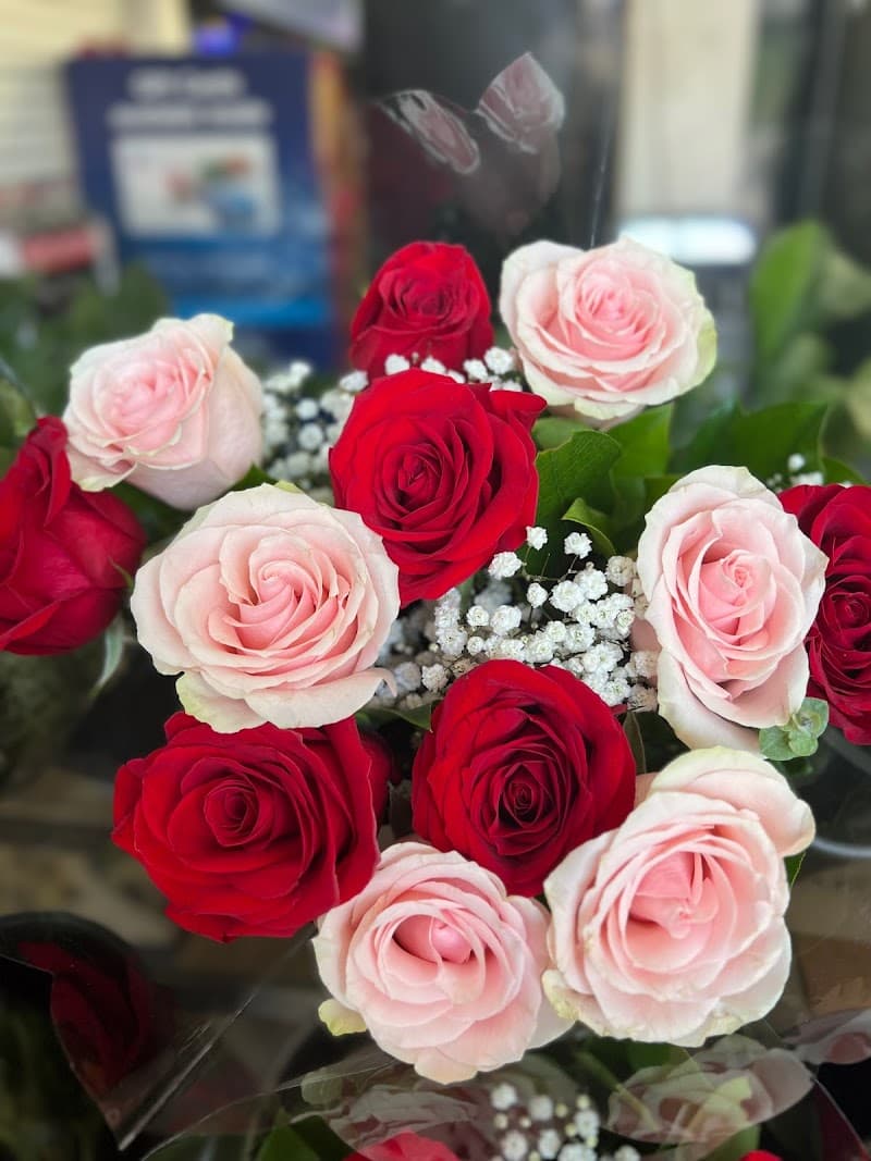 Paradise of Flowers cover