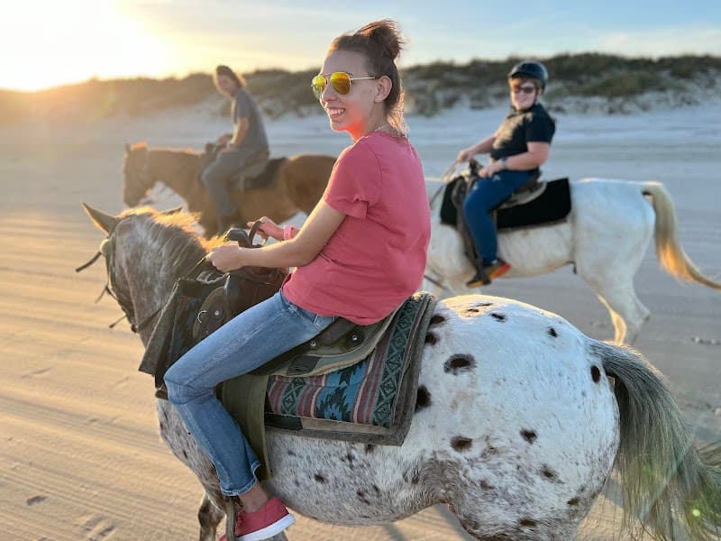 Horses on the Beach cover