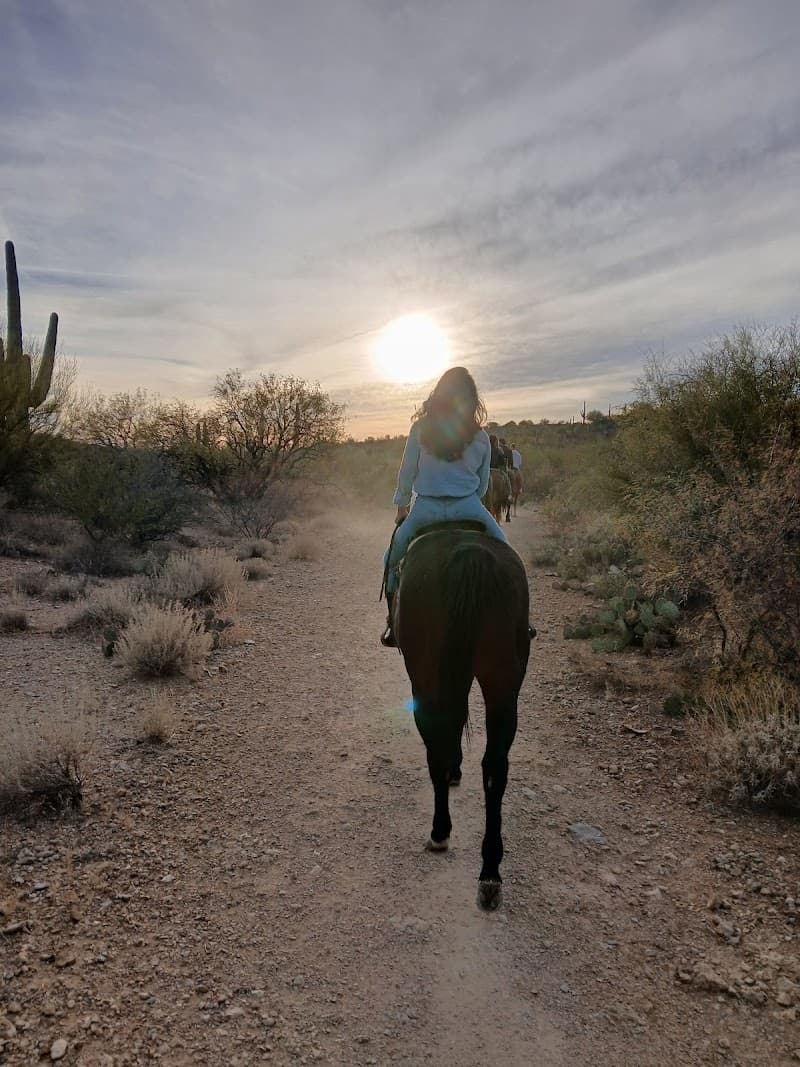 Saguaro Stables cover