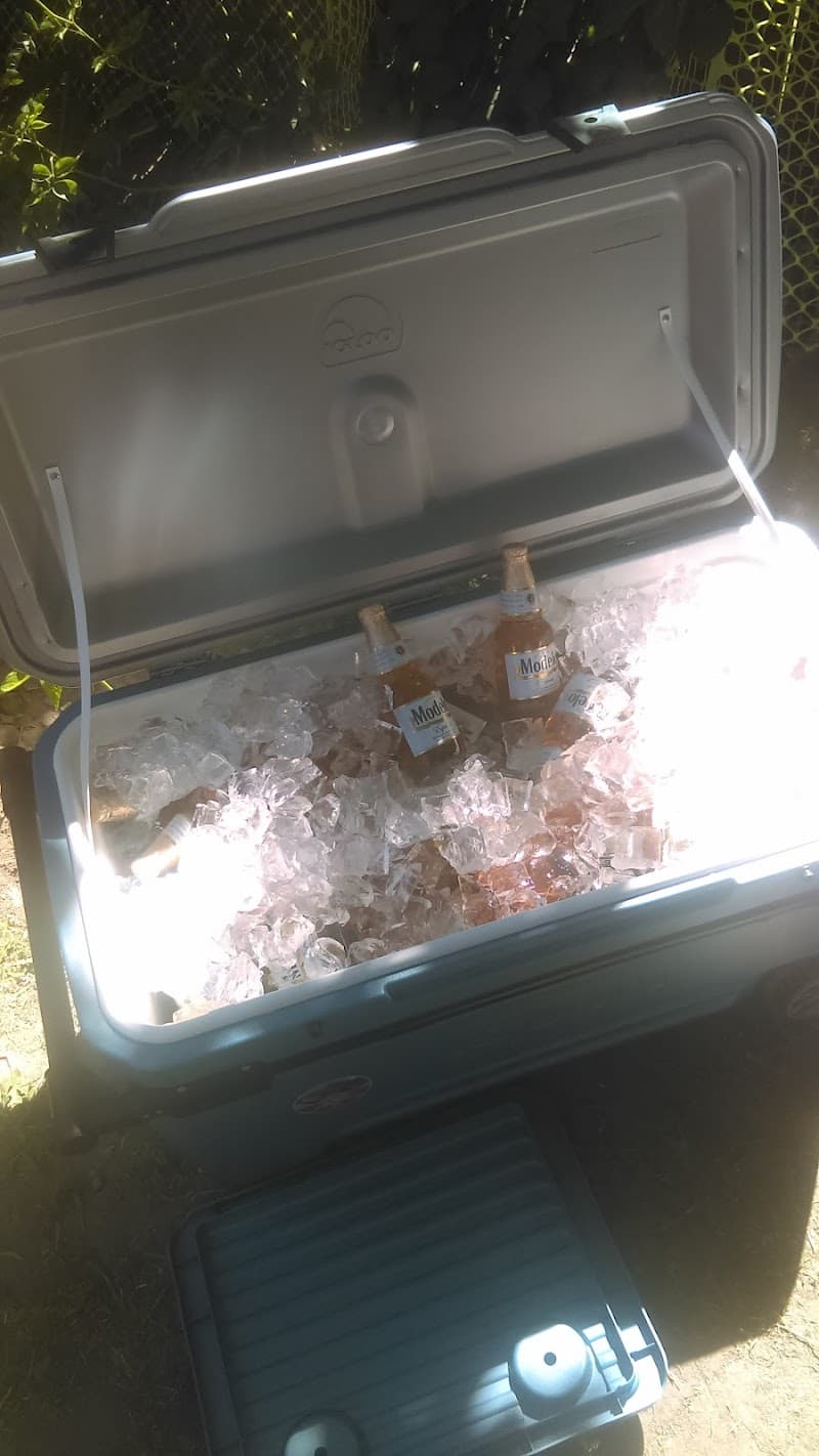 Party Decorations cover