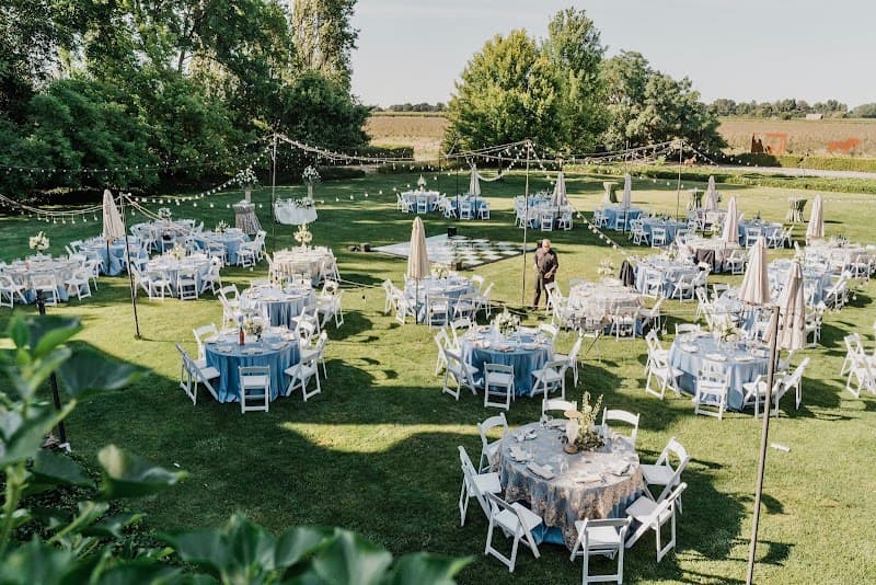 Vanessa's Decorations cover