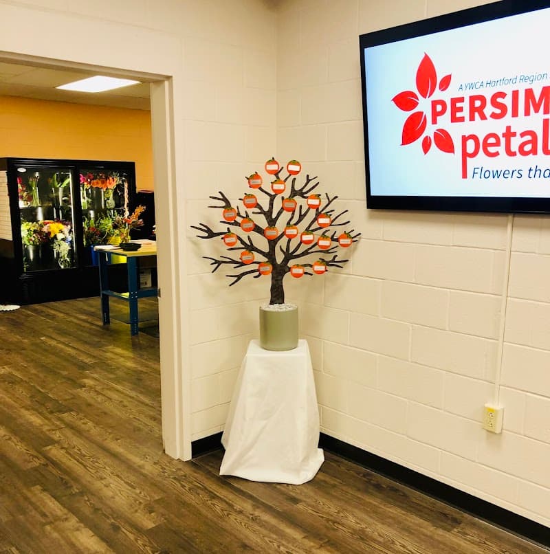 Persimmon Petals cover