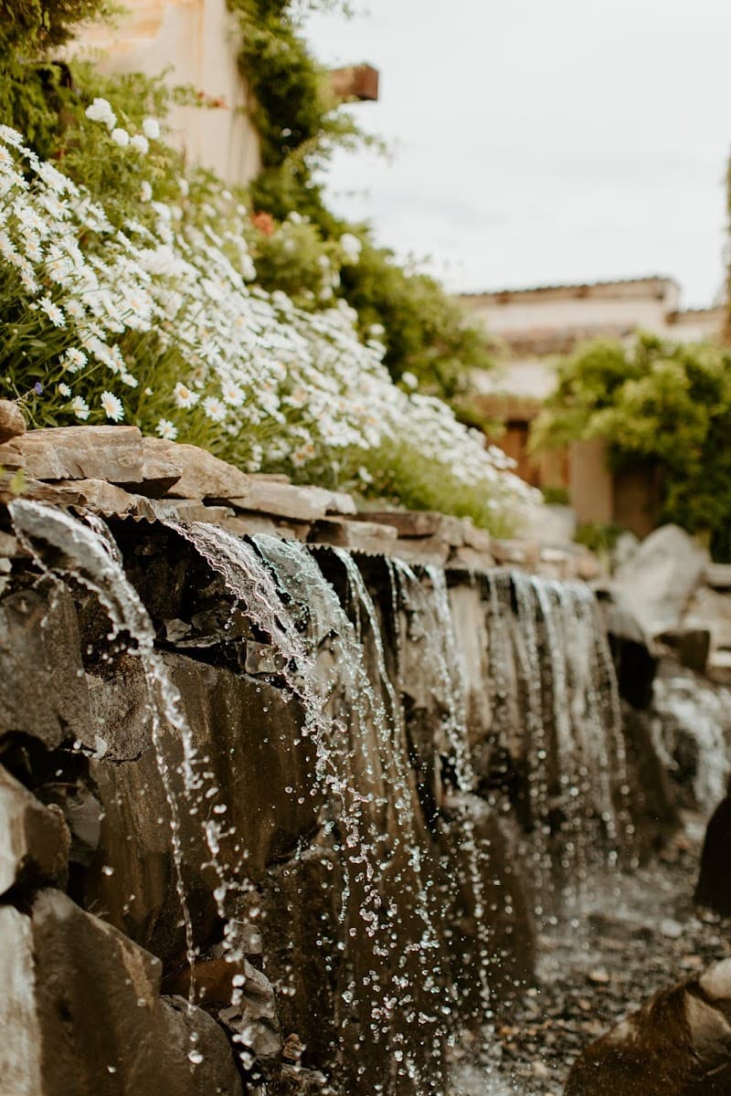 Las Cascadas Reno cover