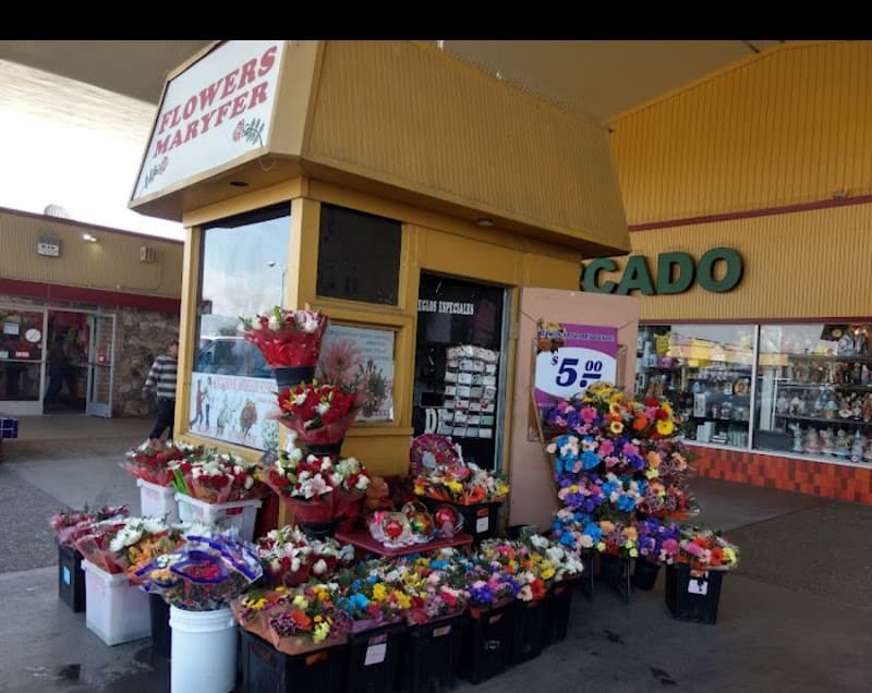 𝓜𝓪𝓻𝔂𝓯𝓮𝓻 𝓕𝓵𝓸𝔀𝓮𝓻'𝓼 cover