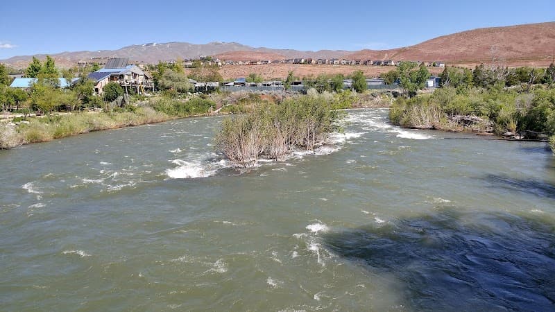 River School Farm cover