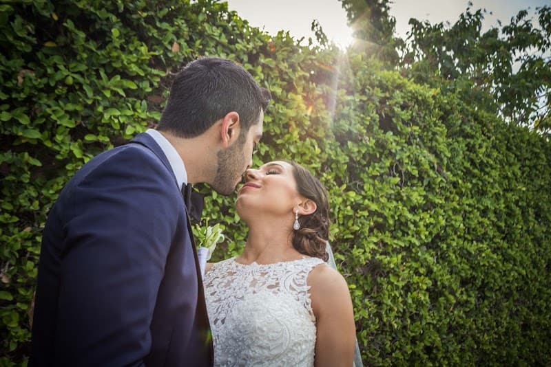 Timeless Studios cover