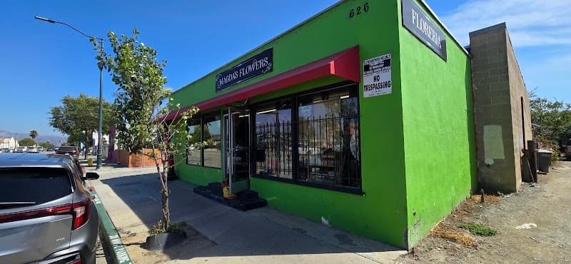 Magda's Flowers cover