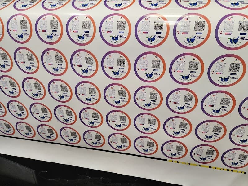 Daffodil Print cover