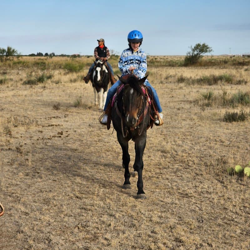 Cowgirls & Cowboys In The West cover