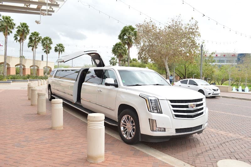 Executive Limousine cover