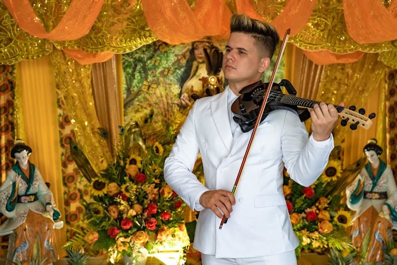 DJ Violin Show cover