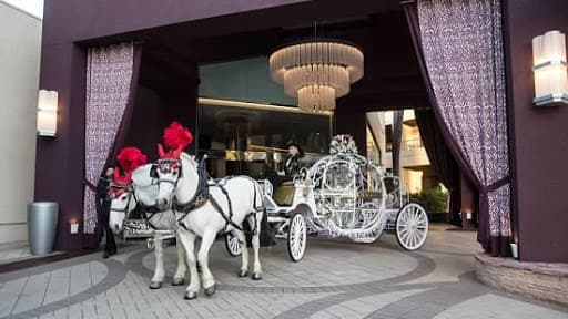 Cindy Cinderella Carriages cover
