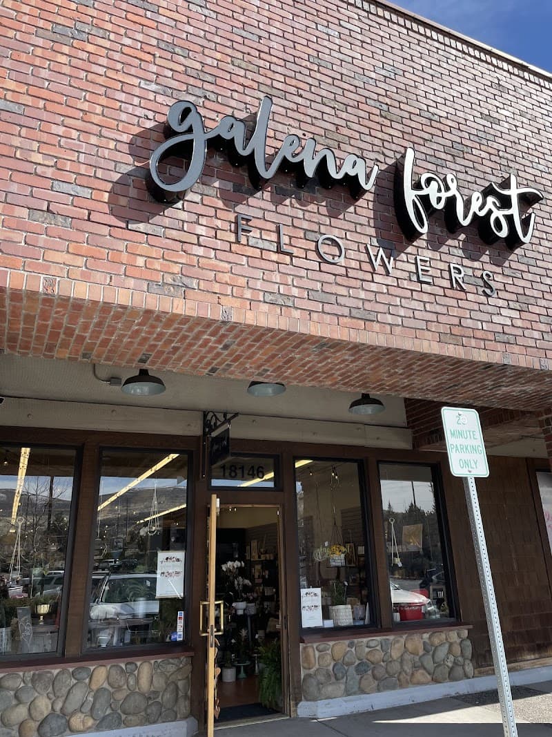 Galena Forest Flowers cover