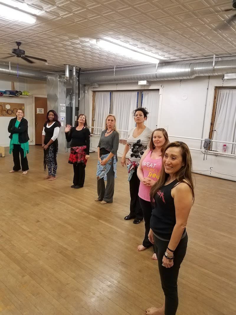 Amira Dance Productions LLC cover