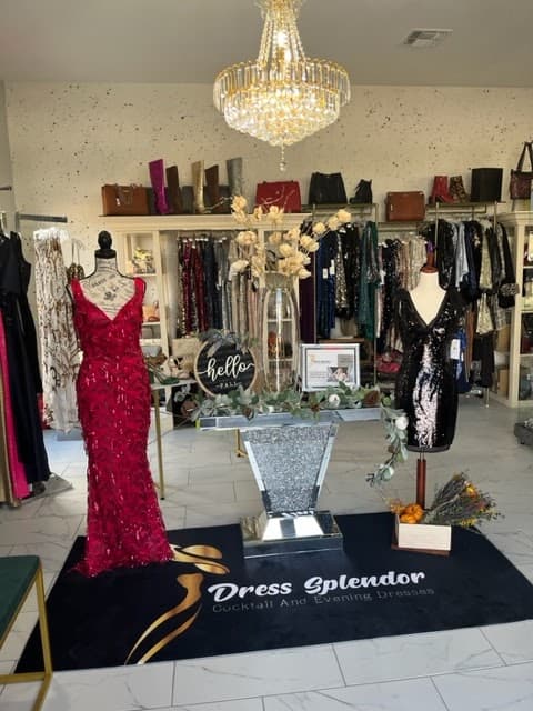 Dress Splendor cover