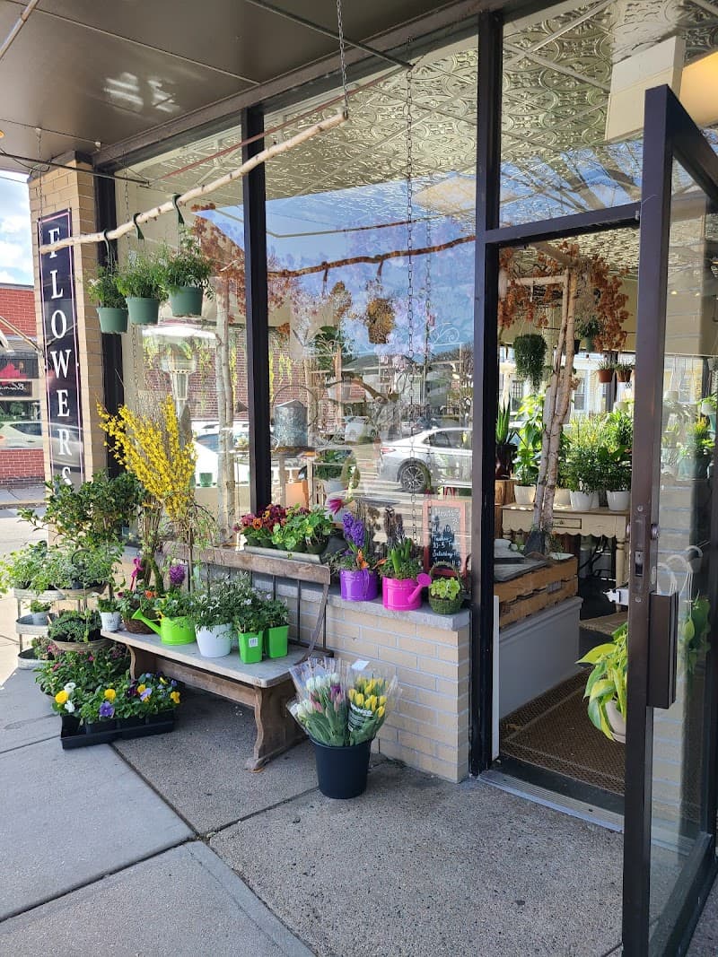 Providence Florist - Blooming Blossoms cover