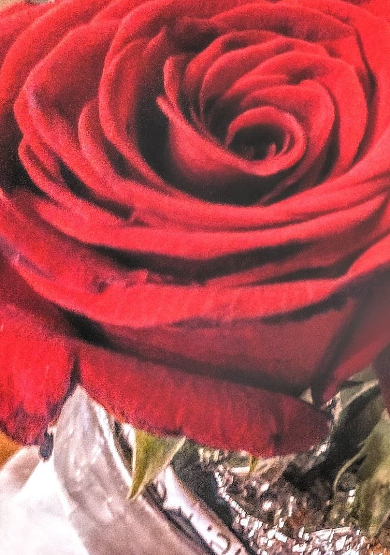 Dee's Dance Studio cover