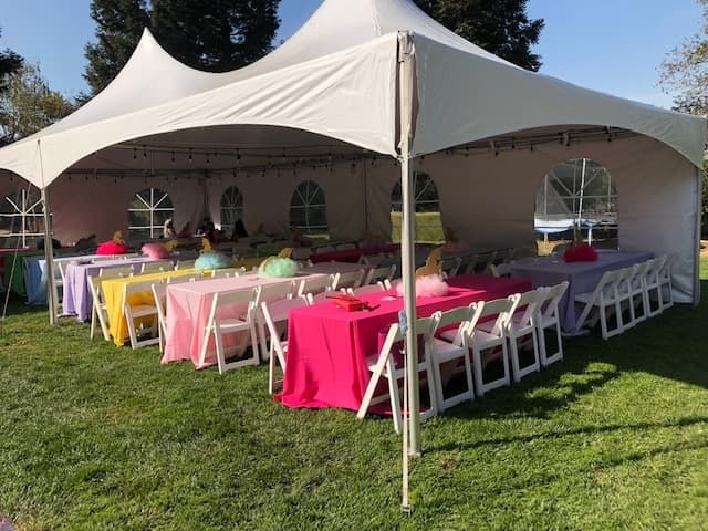 Nor Cal Party Rentals - Tent Rentals cover