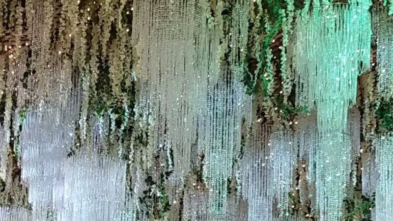 Celadon Events cover