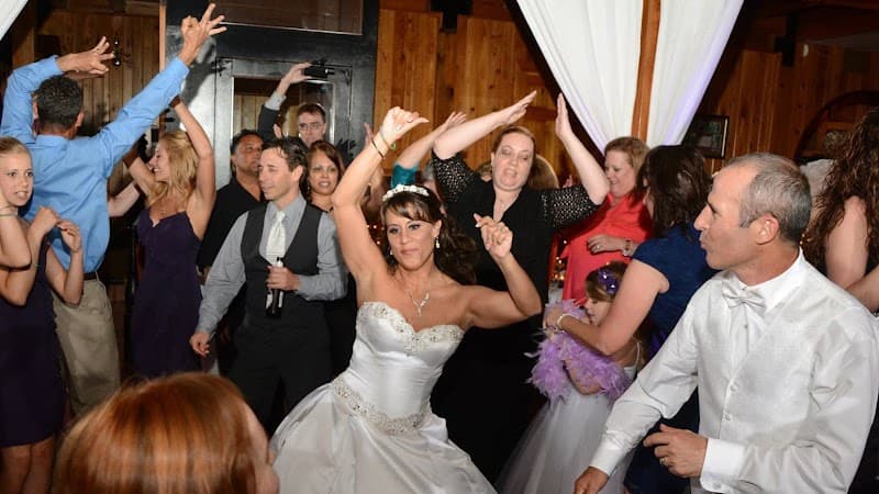 Elegant Entertainment DJ Services Orlando cover