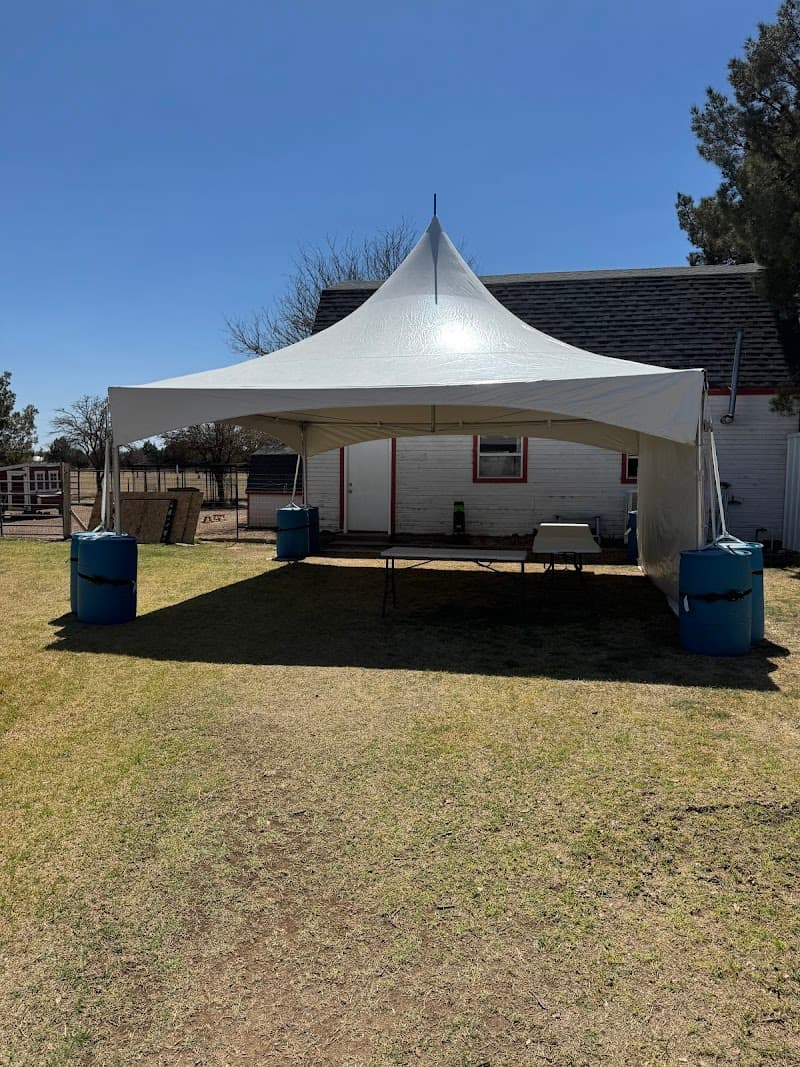 Rex's Party Rentals cover