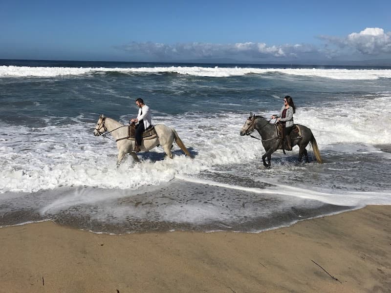 Monterey Bay Equestrian Center cover