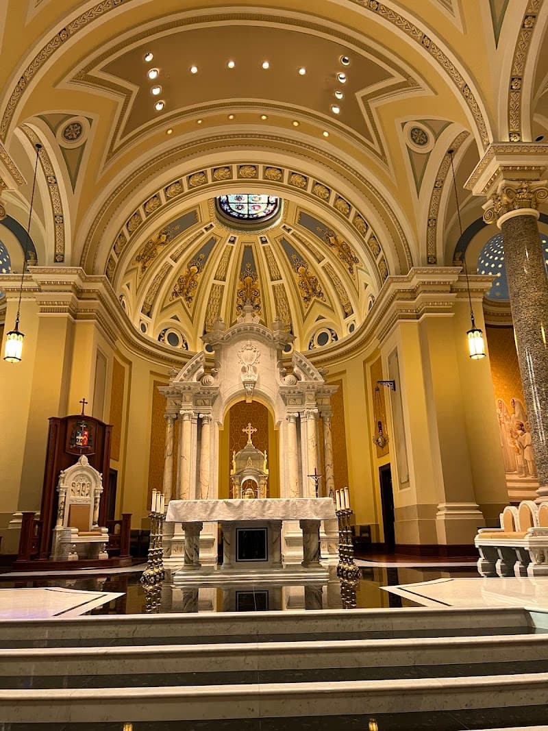 Cathedral of the Immaculate Conception cover