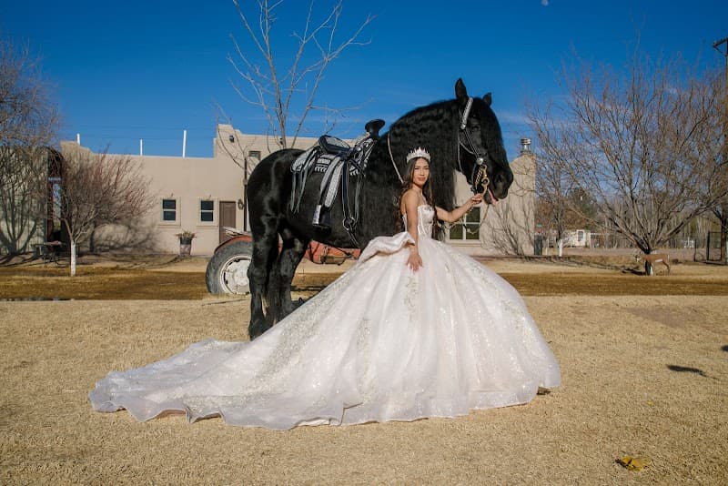 camarena studio Photography and invitations cover