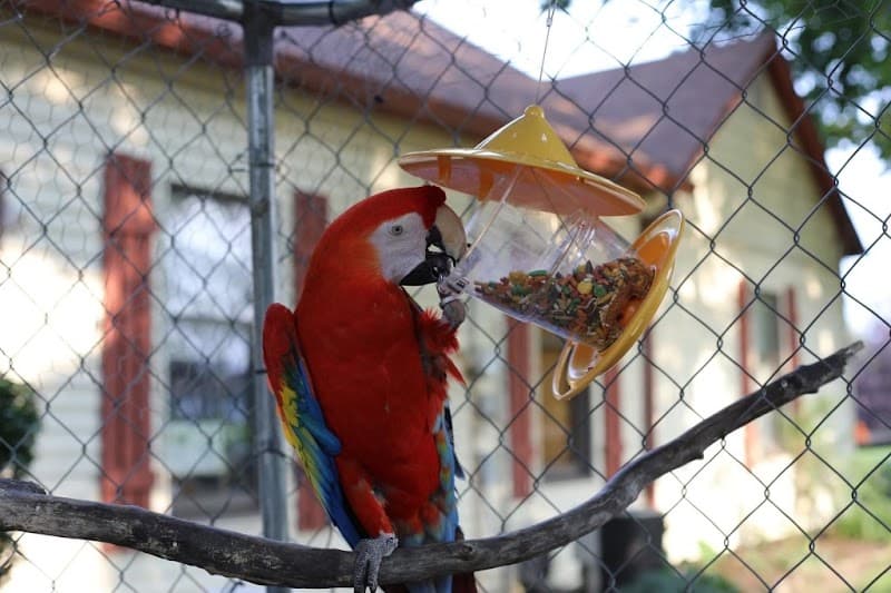 City Ranch, LLC cover