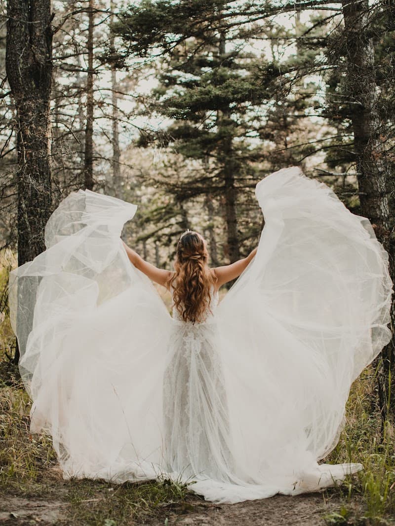 The Cloud Nine Co. cover