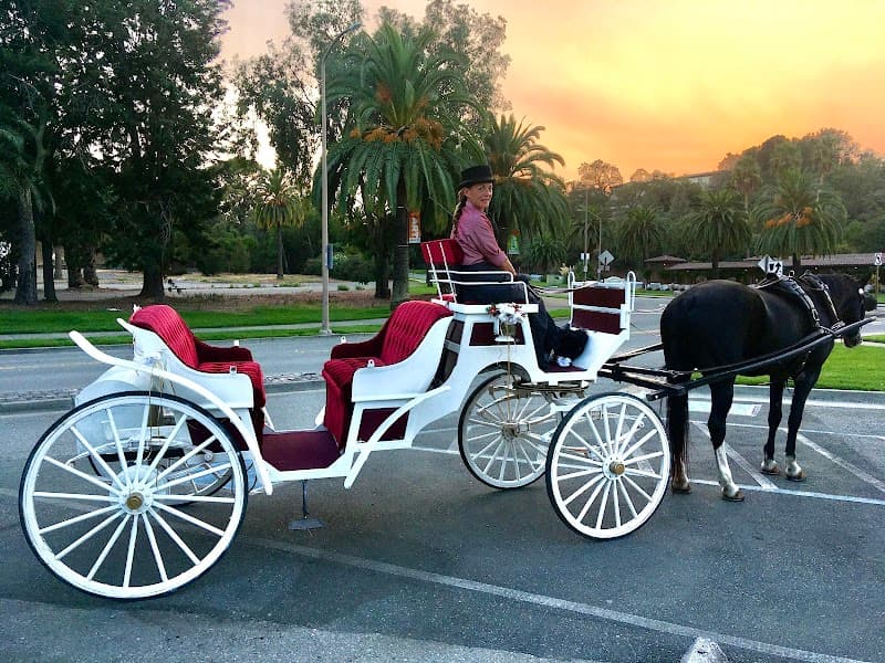 Hackney Horse & Carriage cover