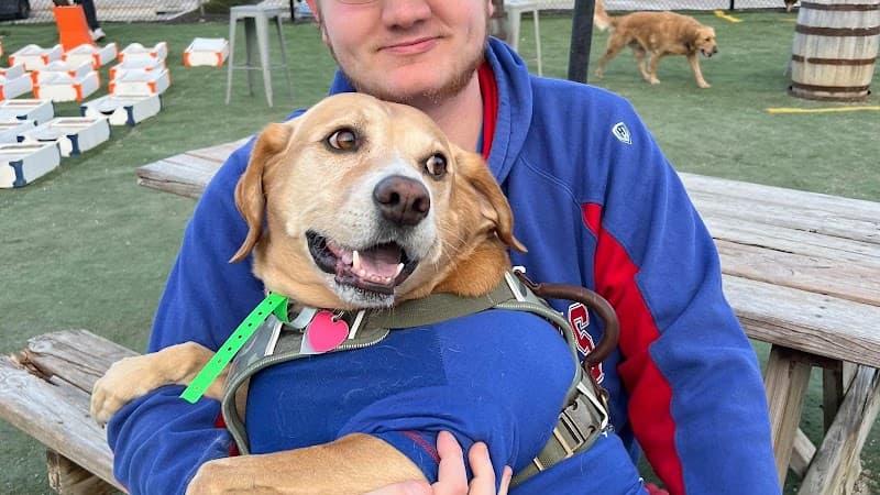 DJ & Photo Booth cover