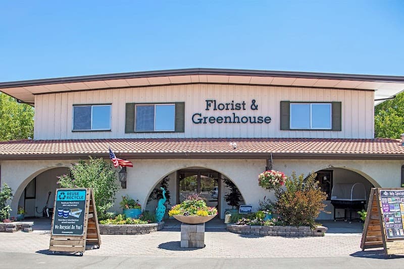 The Florist at Moana Nursery cover