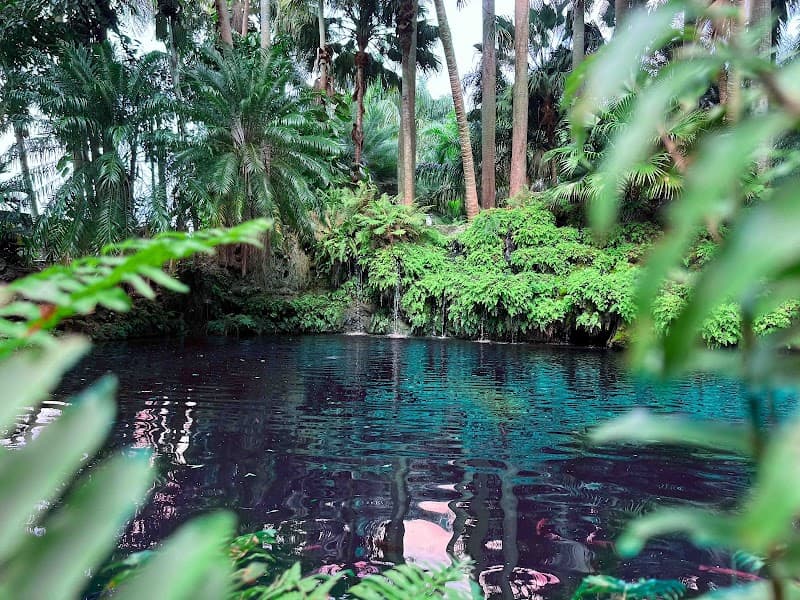 Villa Turqueza - Miami Wedding Venue cover