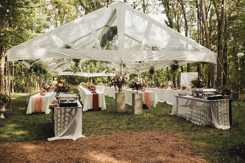 Ace Party Rental cover