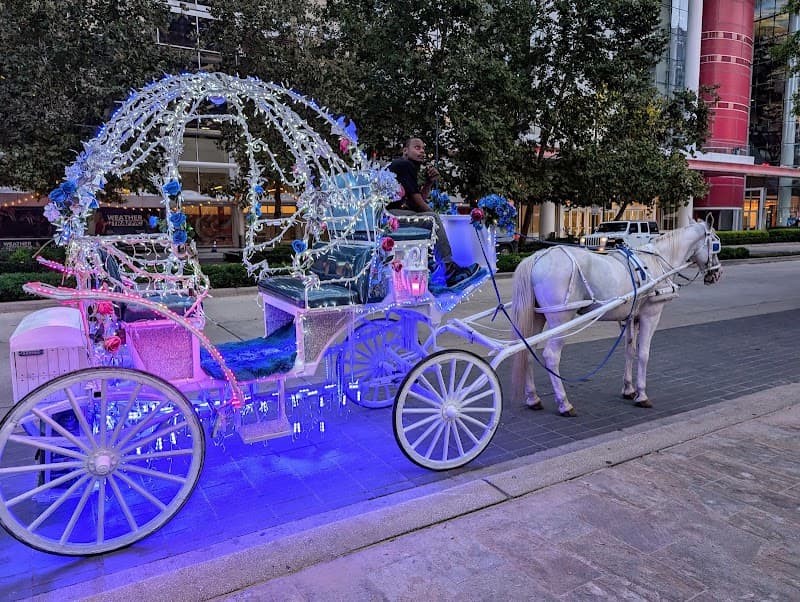 J Houston Horse and Carriage cover