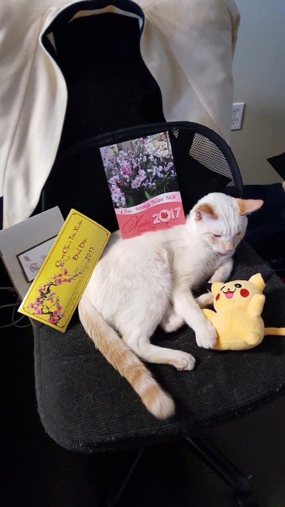 Hoa Tien Wedding Invitation - Print Shop cover