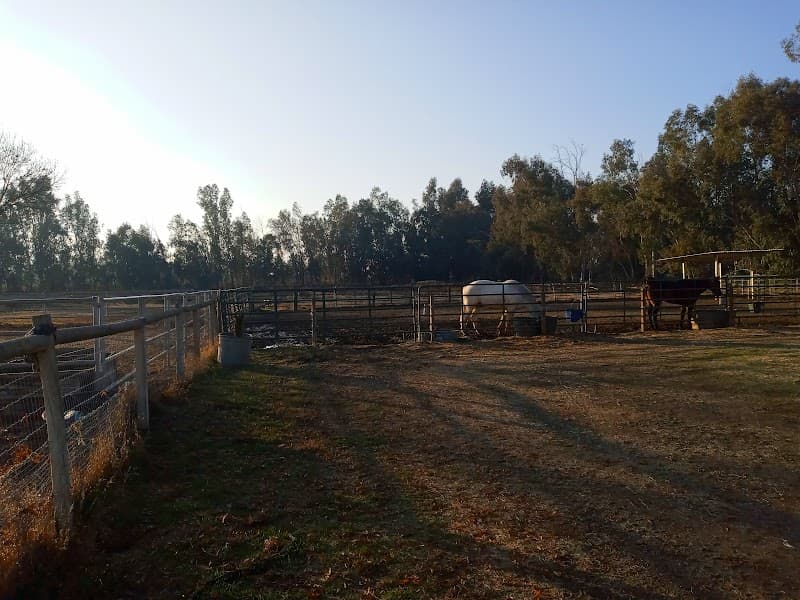 Rainwater Farms cover