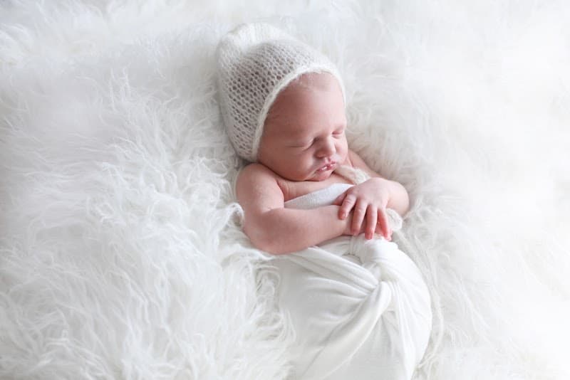 LMT Portraits by Alicia cover