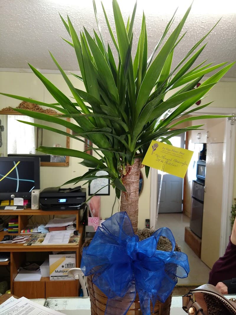 La Vega Flower Shop cover