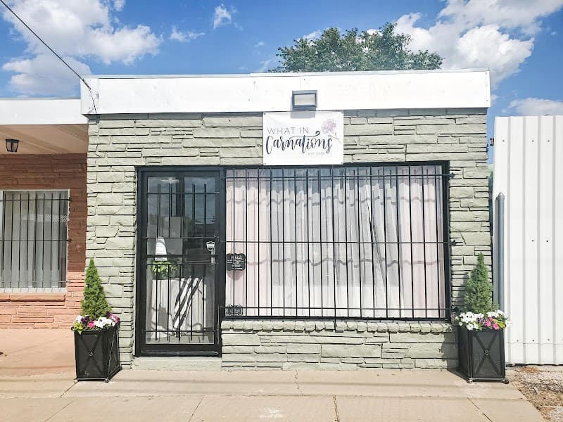 What in Carnations cover